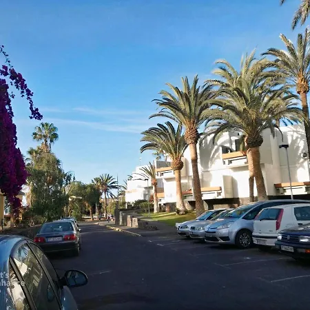 Primavera Tenerife * 코스타델실렌시오
