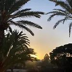 Primavera Tenerife