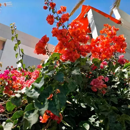 Primavera Tenerife