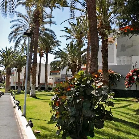 Primavera Tenerife Apartamento Costa del Silencio