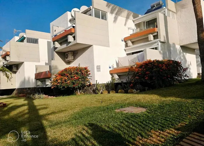 Primavera Tenerife *