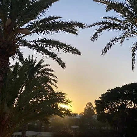 Primavera Tenerife