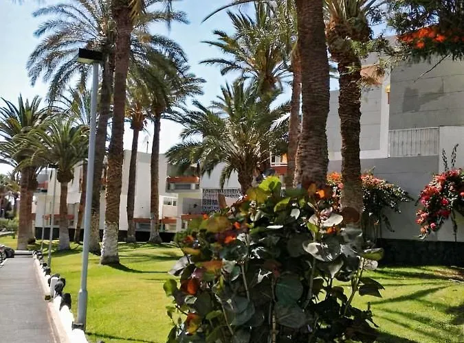 Primavera Tenerife Daire Costa Del Silencio